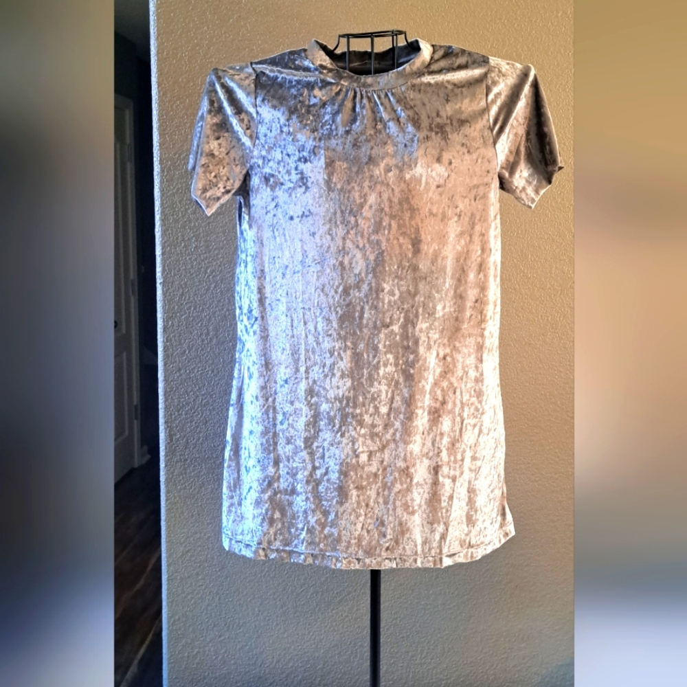 Velour like Silver dress size large.